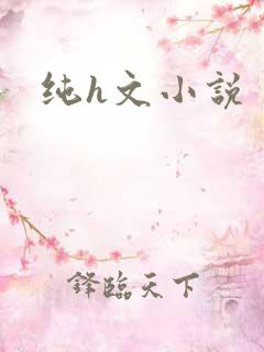 纯h文小说