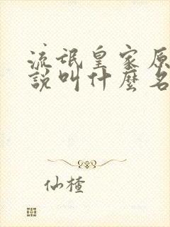 流氓皇家原著小说叫什么名字