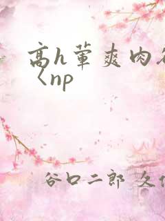 高h荤爽肉欲文〈np