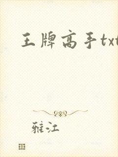 王牌高手txt