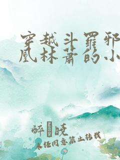 穿越斗罗邪火凤凰林萧的小说