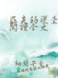 匹夫的逆袭在线阅读全文