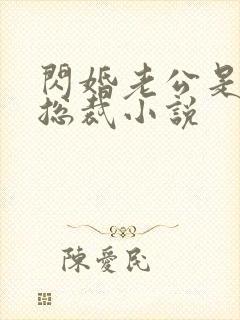 闪婚老公是亿万总裁小说