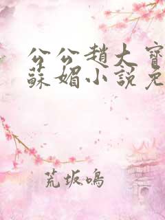 公公赵大宝儿媳苏媚小说免费阅读