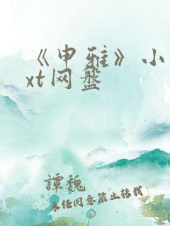 《申雅》小说txt网盘