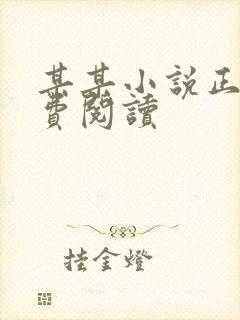 某某小说正版免费阅读