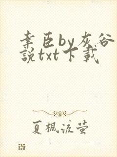 幸臣by灰谷小说txt下载