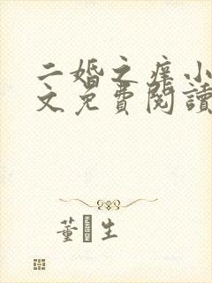二婚之痒小说全文免费阅读