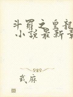 斗罗之皇龙惊世 小说最新章节