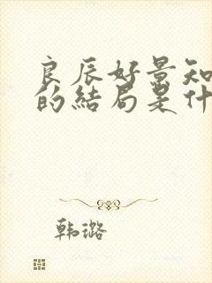 良辰好景知几何的结局是什么