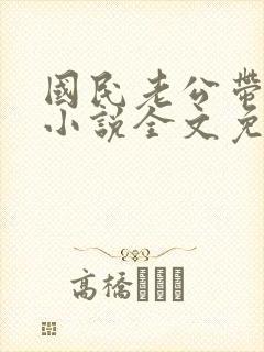 国民老公带回家小说全文免费阅读