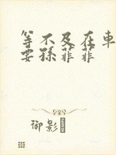 等不及在车里就要孙菲菲