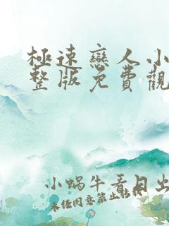 极速恋人小说完整版免费观看