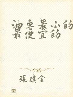 油车最小的价格最便宜的