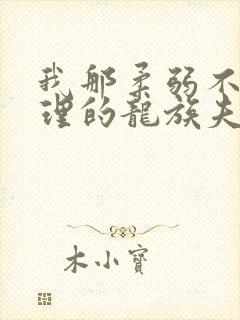 我那柔弱不能自理的龙族夫君