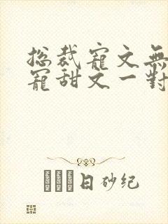 总裁宠文无虐超宠甜文一对一