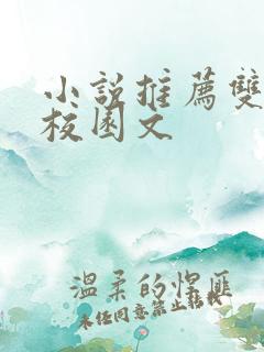 小说推荐双男主校园文