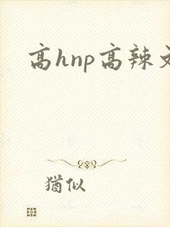 高hnp高辣文