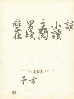 双男主小说高干在线阅读