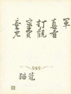 童宁打真军电影免费观看