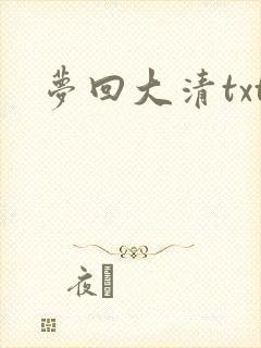 梦回大清txt