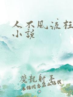 人不风流枉少年小说