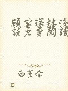 顾宴琛林浅月小说免费阅读最新章节