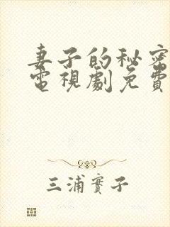 妻子的秘密韩剧电视剧免费观看