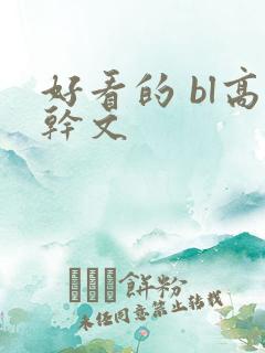 好看的 bl高干文