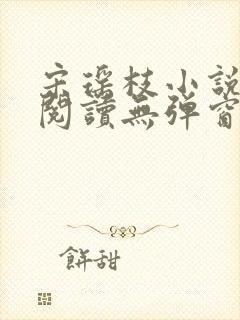 宋瑶枝小说免费阅读无弹窗最新章节