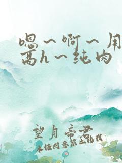 嗯～啊～用力～高h～纯肉