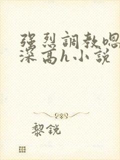 强烈调教嗯啊好深高h小说