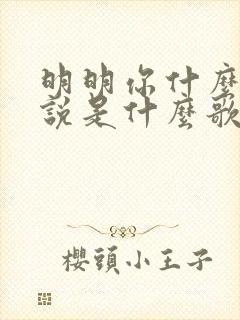 明明你什么也没说是什么歌