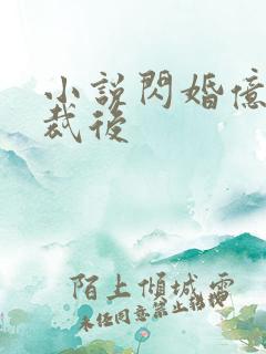 小说闪婚亿万总裁后