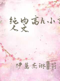 纯肉高h小说同人文