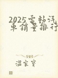2025电动汽车销量排行榜前十名