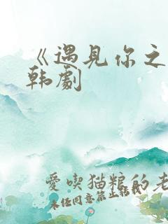 《遇见你之后》韩剧