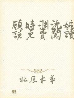 顾时渊沈婉婷小说免费阅读最新章节