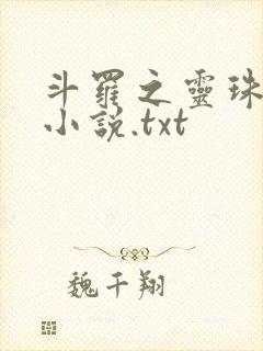 斗罗之灵珠神剑小说.txt