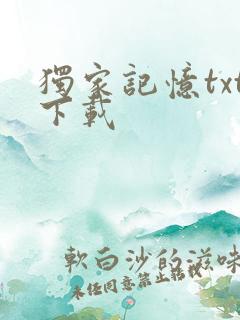 独家记忆txt下载