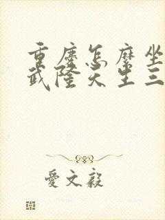 重庆怎么坐车去武隆天生三桥