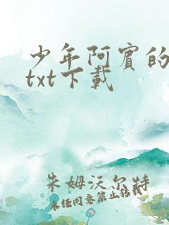 少年阿宾的故事txt下载