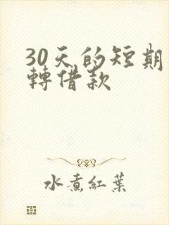 30天的短期周转借款