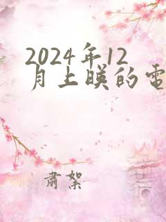 2024年12月上映的电影