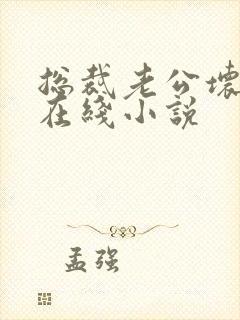 总裁老公坏又甜在线小说