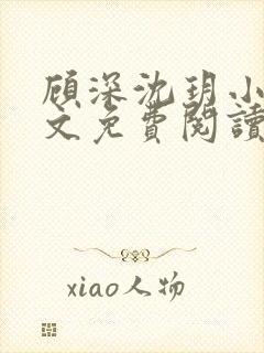 顾深沈玥小说全文免费阅读