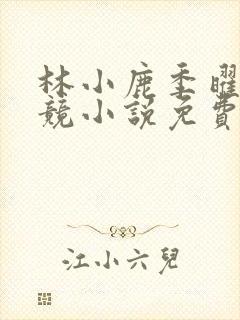 林小鹿季曜珉电竞小说免费阅读