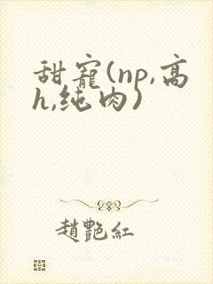 甜宠(np,高h,纯肉)