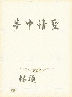 梦中情圣