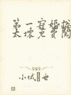 第一宠婚总裁别太坏免费阅读